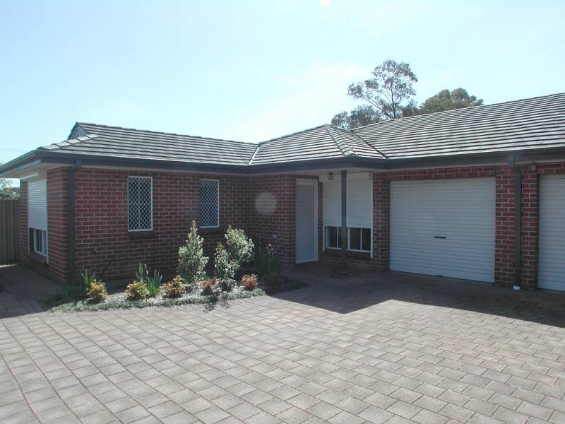 What A Beauty Picture 1