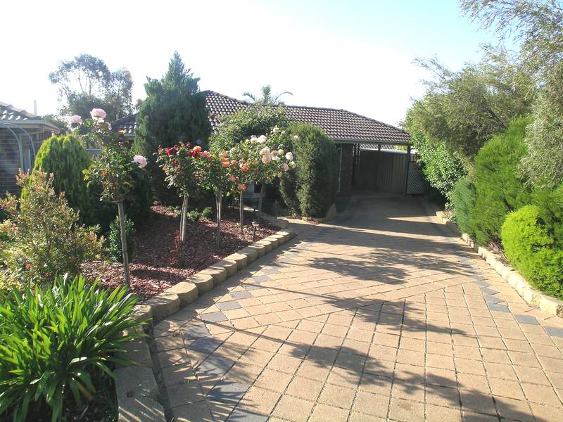 What a Beauty! Picture 1