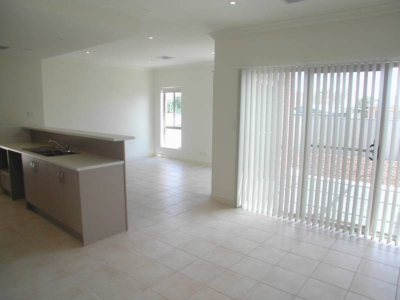 Brand New! Picture 3