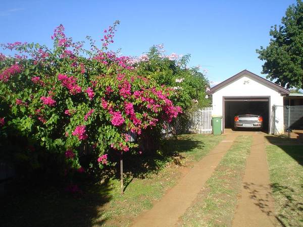 More that meets the eye Picture 2