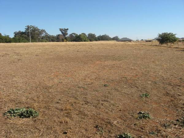 Build your dream home Picture 1