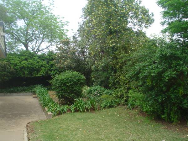 DON'T WAIT TOO LONG! Picture