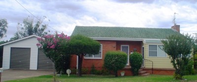 SOUTH DUBBO - CUTE AS A BUTTON Picture