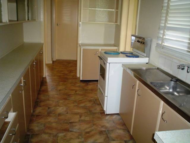 SOUTH DUBBO - CUTE AS A BUTTON Picture