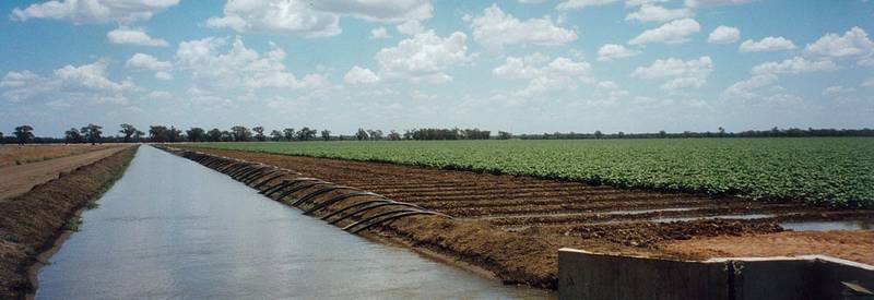 New South Wales Pastoral Company offer at Public Auction their Famous Property Picture 2