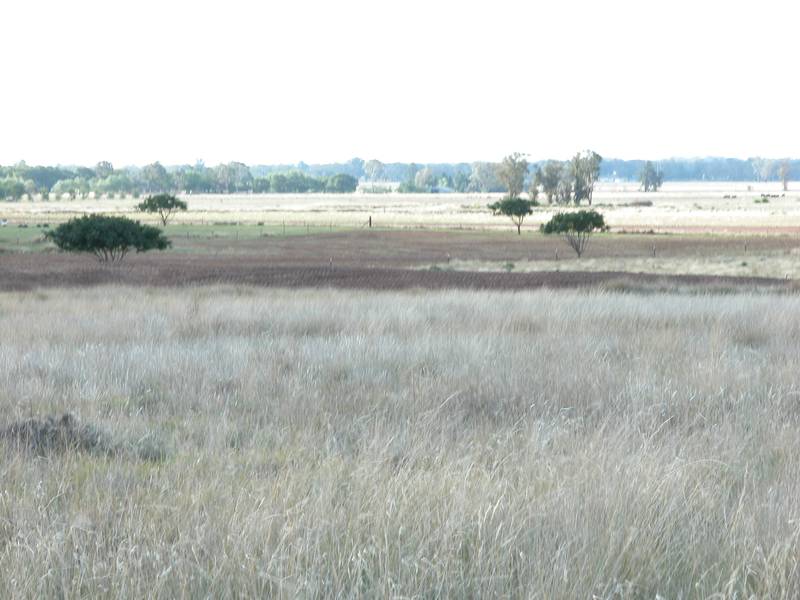 Stop Dreaming Picture 3