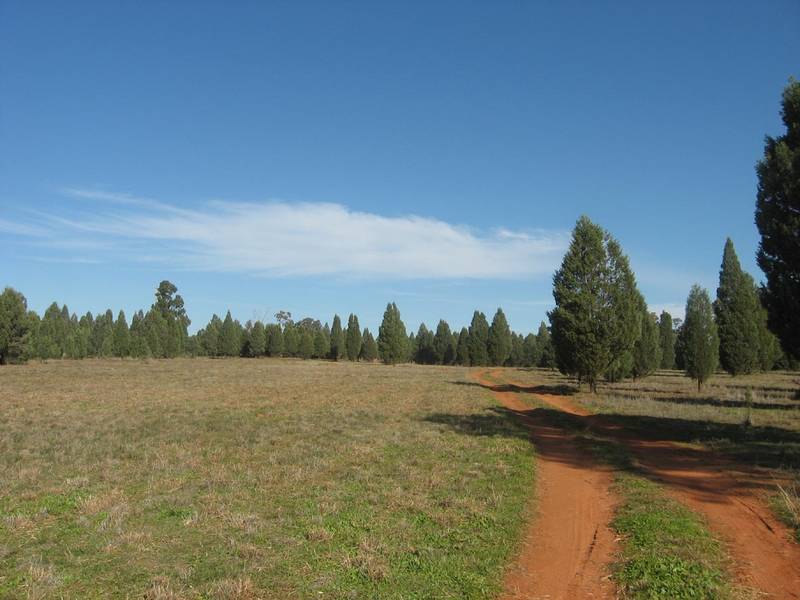 12.91 Ha - 32 Acre Approx Picture 2