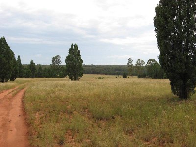 12.91 Ha - 32 Acre Approx Picture