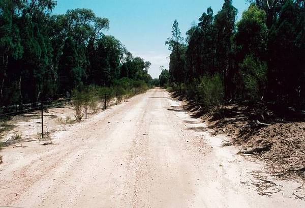 NATURE WONDERLAND ONLY 10 MINUTES FROM DUBBO CITY Picture 3