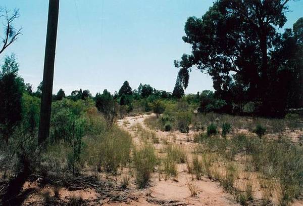 NATURE WONDERLAND ONLY 10 MINUTES FROM DUBBO CITY Picture 2