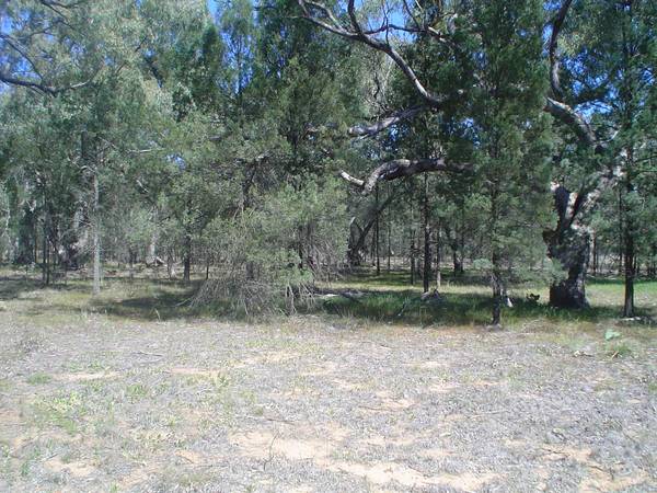 Two Adjoining Allotments Situated within the Village Picture 2