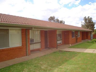 The perfect starter! Picture