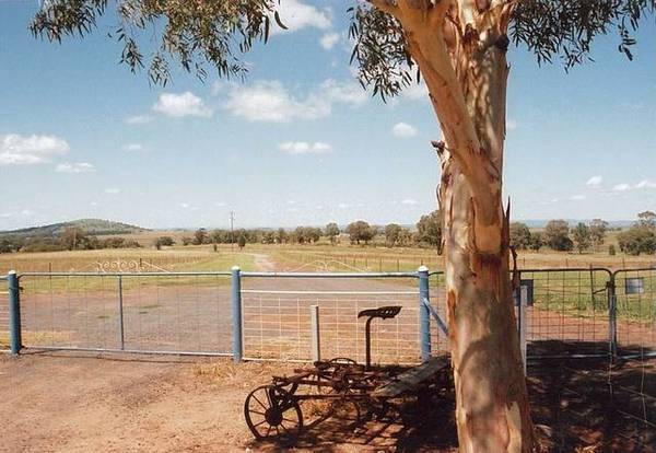 EQUINE ENTERPRISES - OUTSTANDING SMALL EQUINE / LIFESTYLE PROPERTY Picture 2