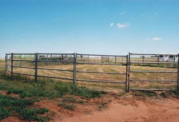 EQUINE ENTERPRISES - OUTSTANDING SMALL EQUINE / LIFESTYLE PROPERTY Picture 3