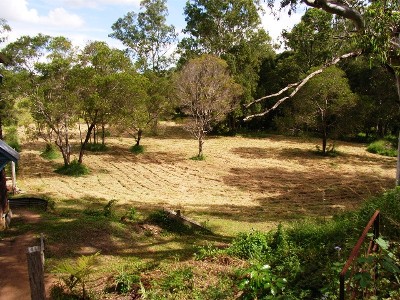 DEVELOPMENT LAND SITE -MUST BE SOLD Picture DEVELOPMENT LAND SITE -MUST BE SOLD Picture