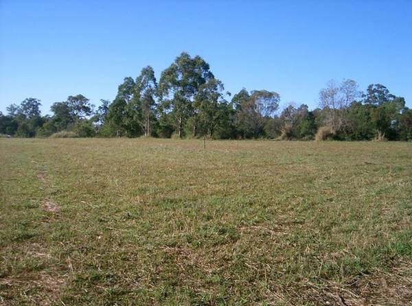 YOUR BLANK RURAL CANVAS Picture 2