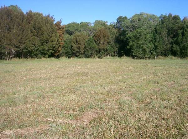 YOUR BLANK RURAL CANVAS Picture 3