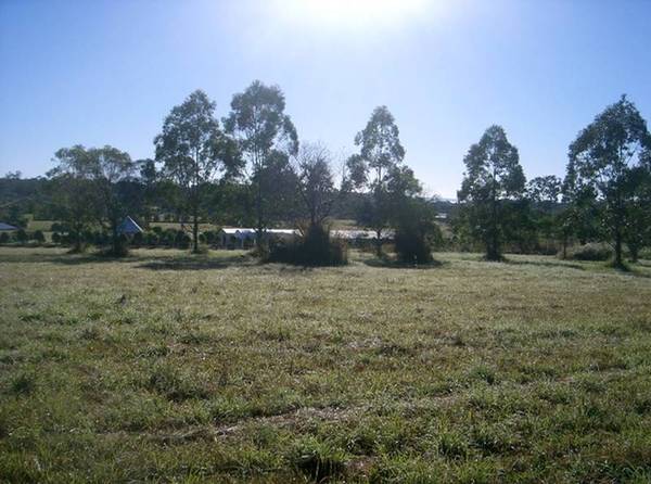 YOUR BLANK RURAL CANVAS Picture 1