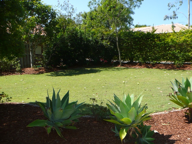 HAVE WE GOT A DEAL FOR YOU! Picture 3