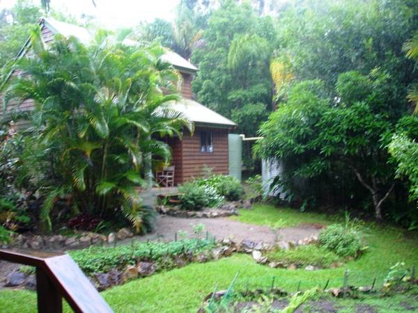 RAINFOREST RETREAT Picture 1