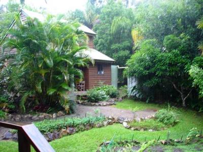 RAINFOREST RETREAT Picture RAINFOREST RETREAT Picture