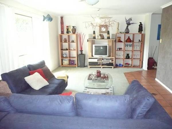 MY OWNER IS LEAVING ME! Picture 3