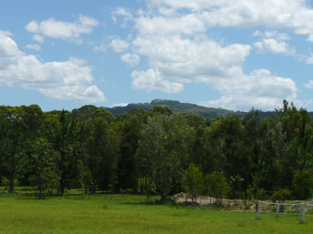 5 ACRES OF VACANT LAND WITH TOWN WATER Picture 1