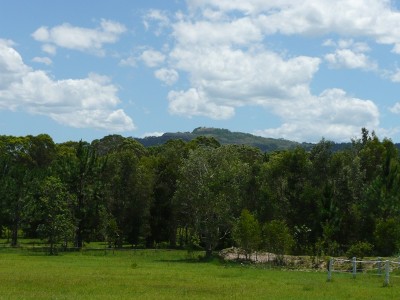 5 ACRES OF VACANT LAND WITH TOWN WATER Picture 5 ACRES OF VACANT LAND WITH TOWN WATER Picture