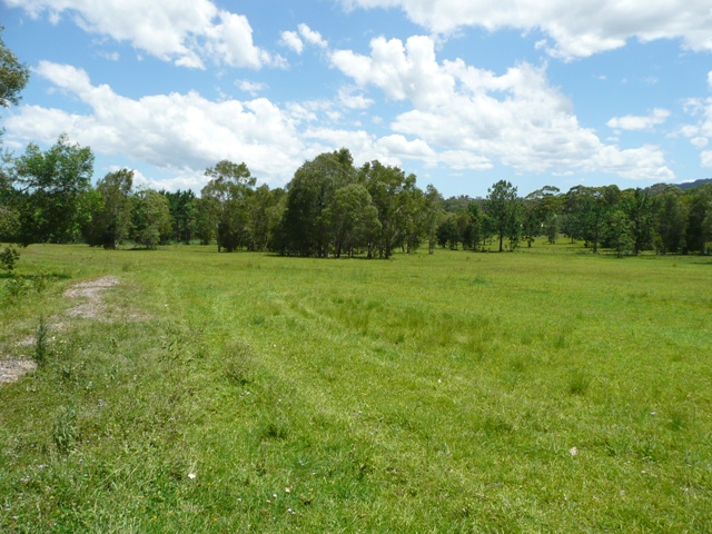 5 ACRES OF VACANT LAND WITH TOWN WATER Picture 3