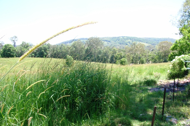 AFFORDABLE LAND OPPORTUNITY Picture 3