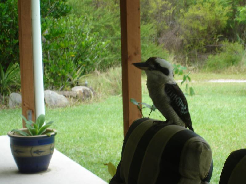 PEACEFUL SERENITY Picture 1