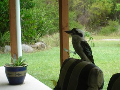 PEACEFUL SERENITY Picture