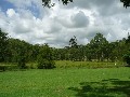 10 ACRE PROPERTY IN VERRIERDALE Picture