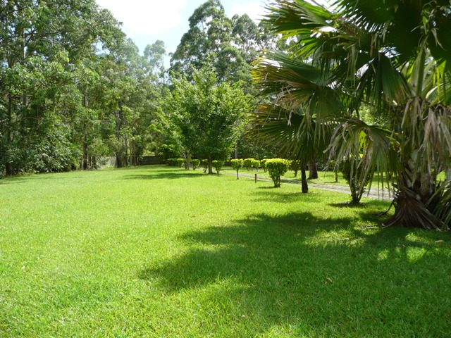 10 ACRE PROPERTY IN VERRIERDALE Picture 2