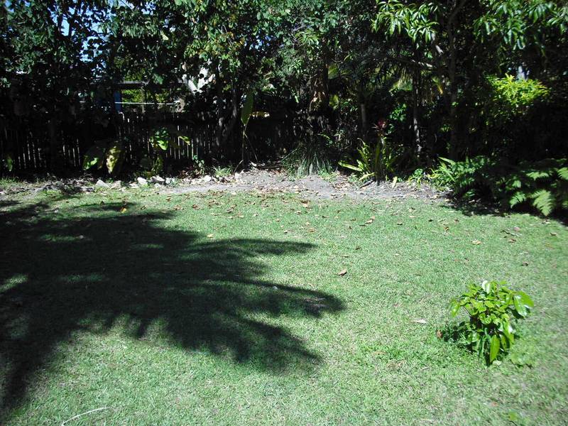 CLOSE TO EVERYTHING Picture