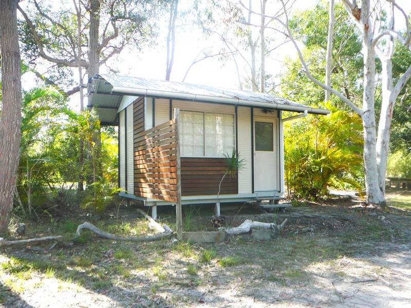 BUSH AND BEACH Picture 2