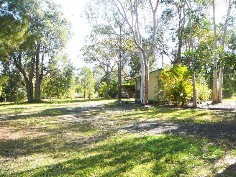 BUSH AND BEACH Picture 3