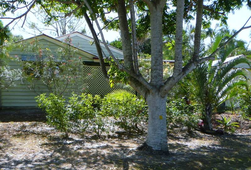 MORE THAN MEETS THE EYE OPEN SAT 30th Jan. 12-12:30pm Picture 1