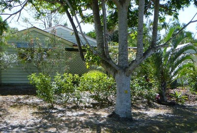 MORE THAN MEETS THE EYE OPEN SAT 30th Jan. 12-12:30pm Picture