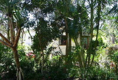 What a Little Beautie! Picture