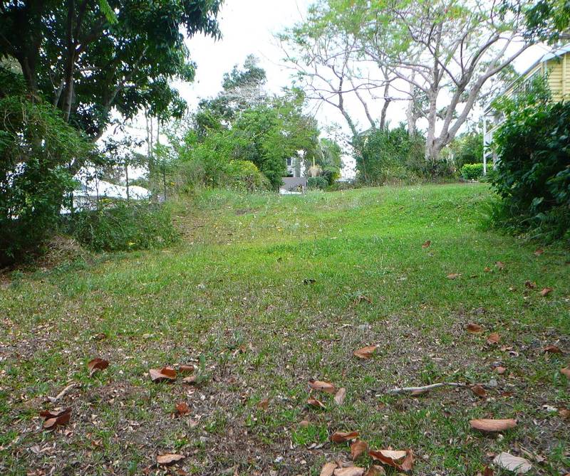 Land in a leafy street in old Tewantin Picture 2