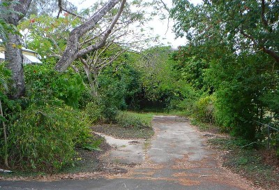 Land in a leafy street in old Tewantin Picture
