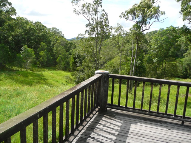 10 ACRES IN RINGTAIL CREEK Picture 1