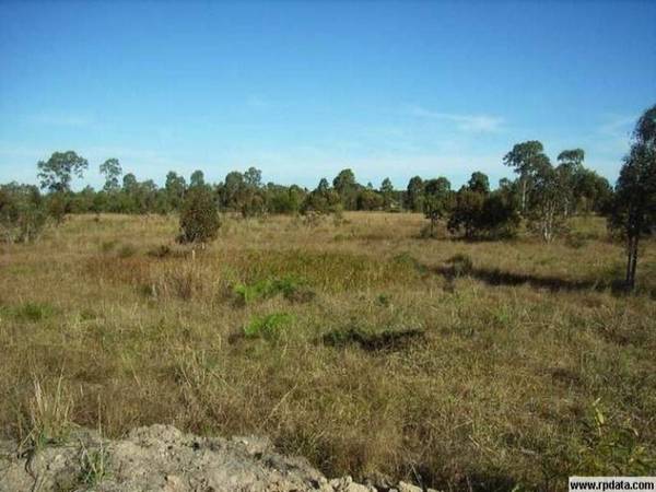 READY TO BUILD Picture 2