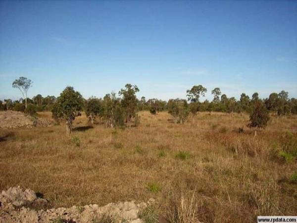 READY TO BUILD Picture 3