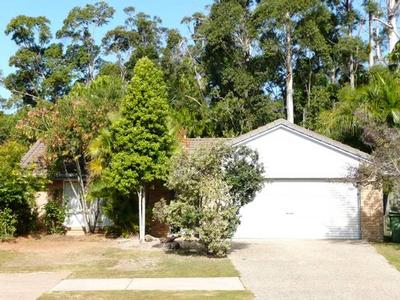 BARGAIN BUYING IN TEWANTIN Picture