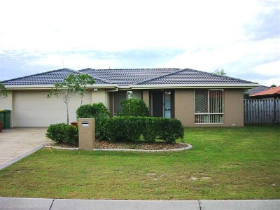 OPPORTUNITY KNOCKS IN NOOSA WATERS Picture