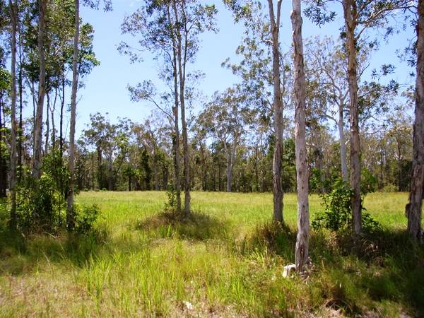 GREAT POSITION Picture 2