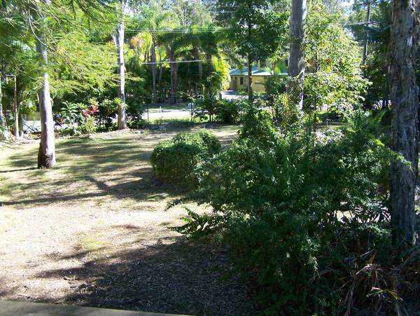 PRICE DRASTICALLY REDUCED - PLANT NURSERY Picture 3
