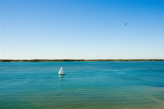 A cut above the rest. Picture 3